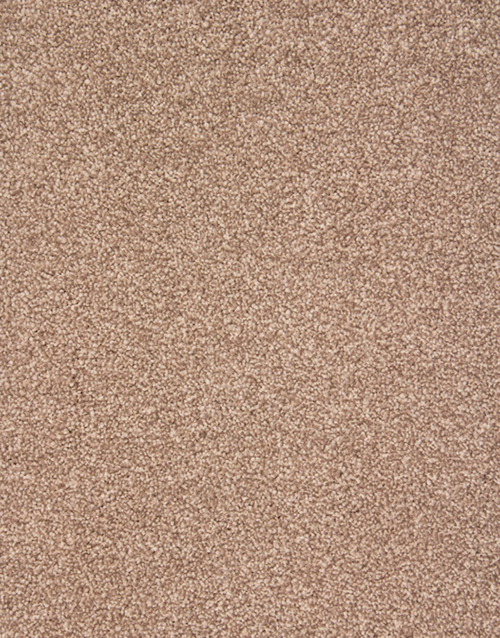 Amalfi 9mm Hessian Backed Twist Pile Carpet - Image 4