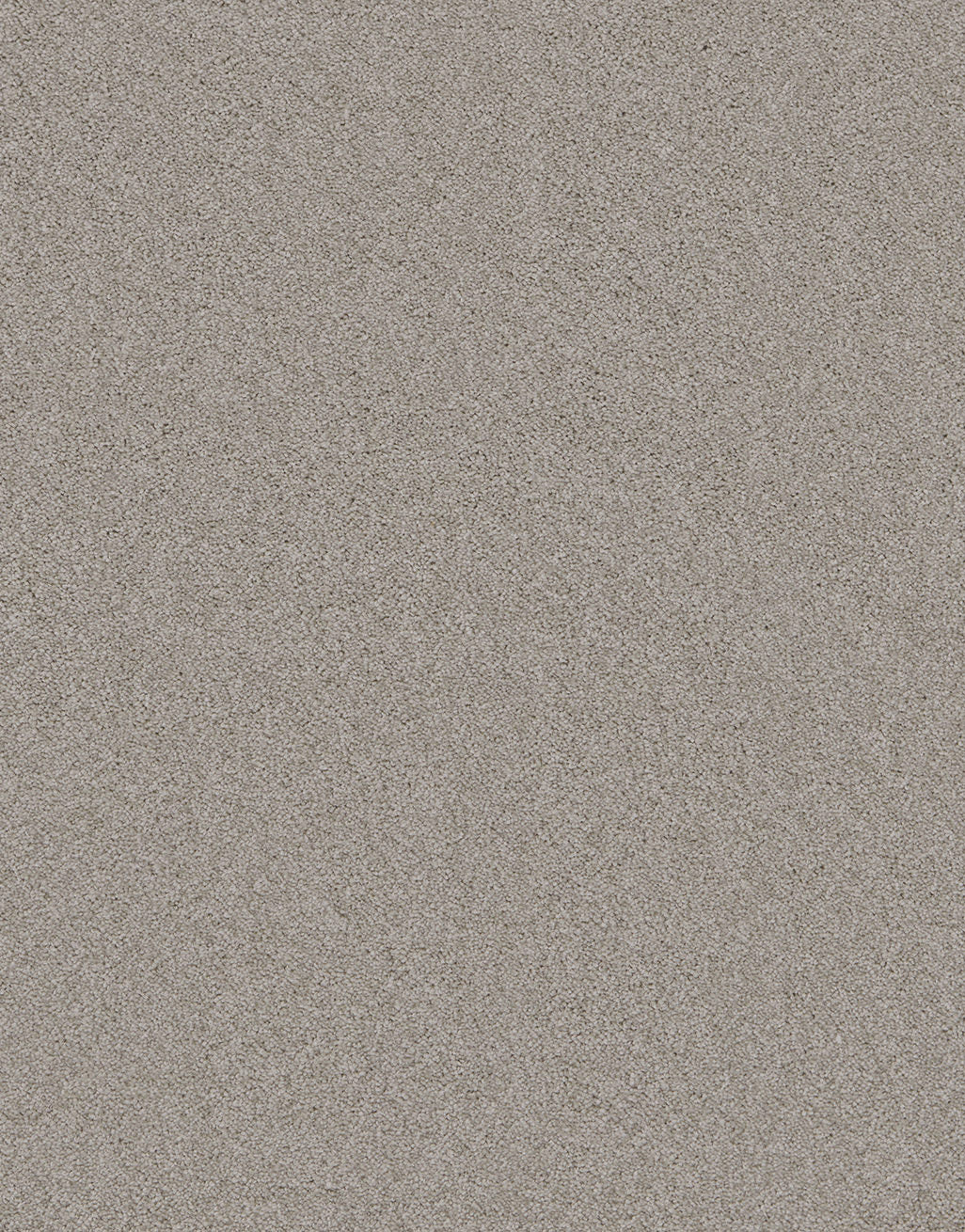 Sorrento 6mm Twist Pile Carpet - Image 13
