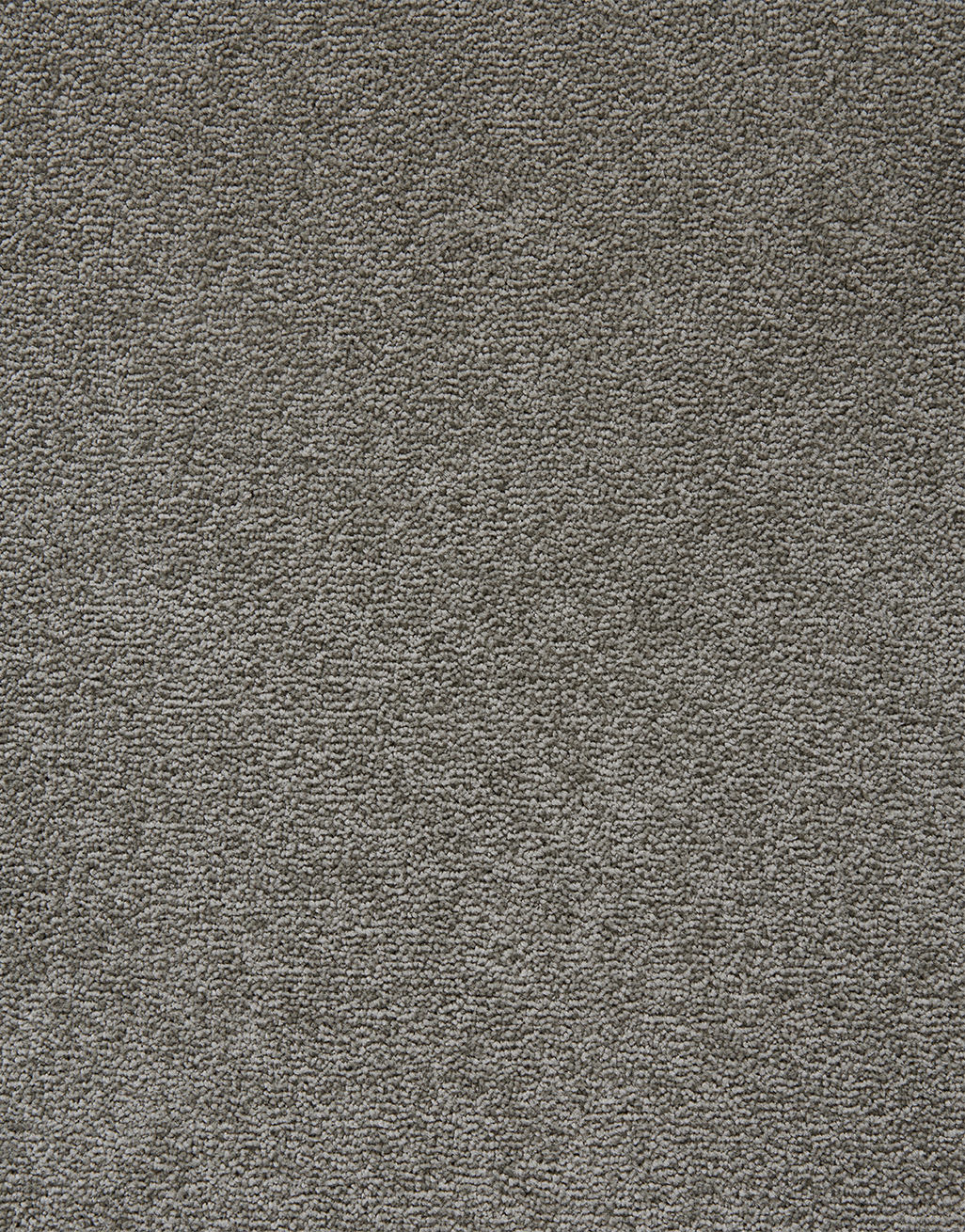 Sorrento 6mm Twist Pile Carpet - Image 16
