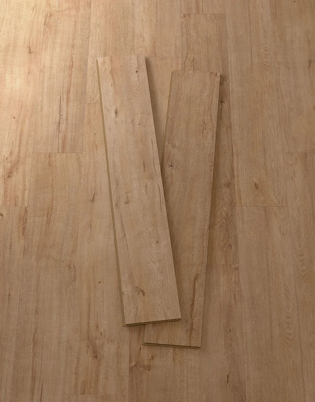 Duke 8mm Laminate Flooring - Golden Oak - Image 3