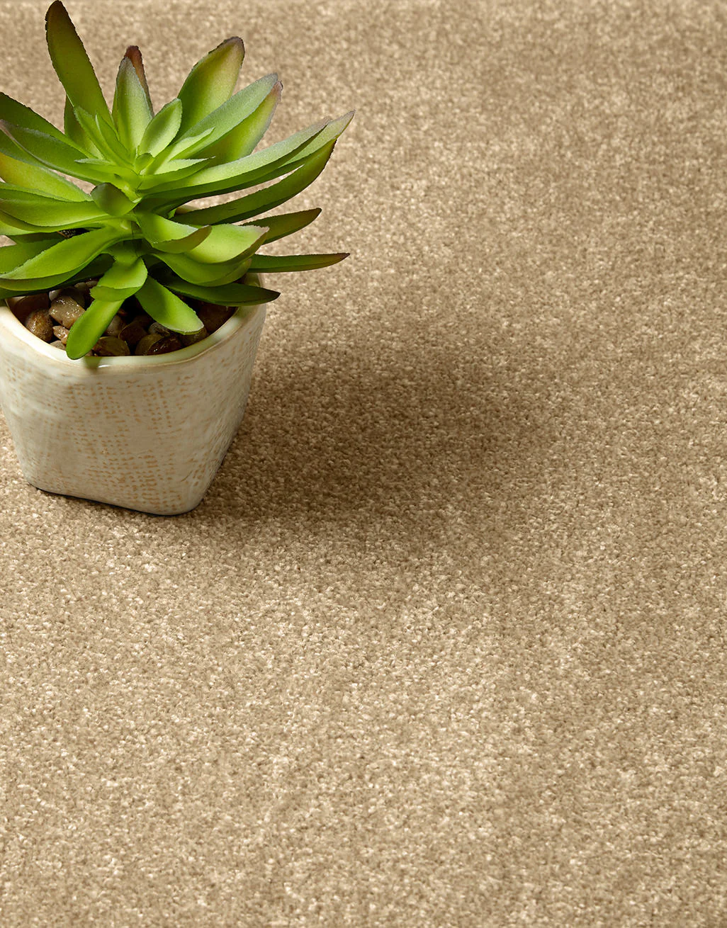 Mardale Dual Backing 8mm Pile Carpet - Image 15