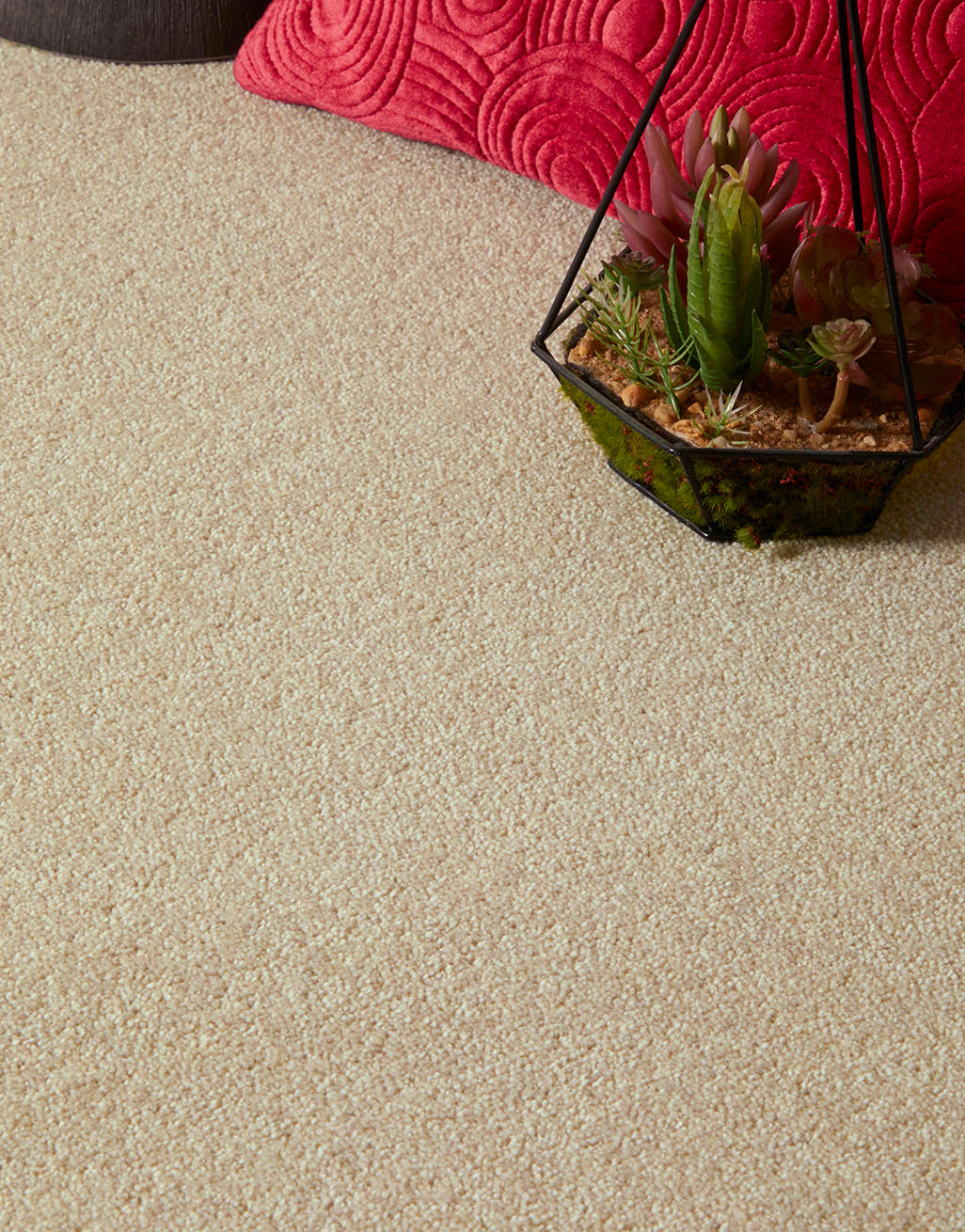 Rydal Felt Backing 9mm Twist Pile Carpet - Image 7