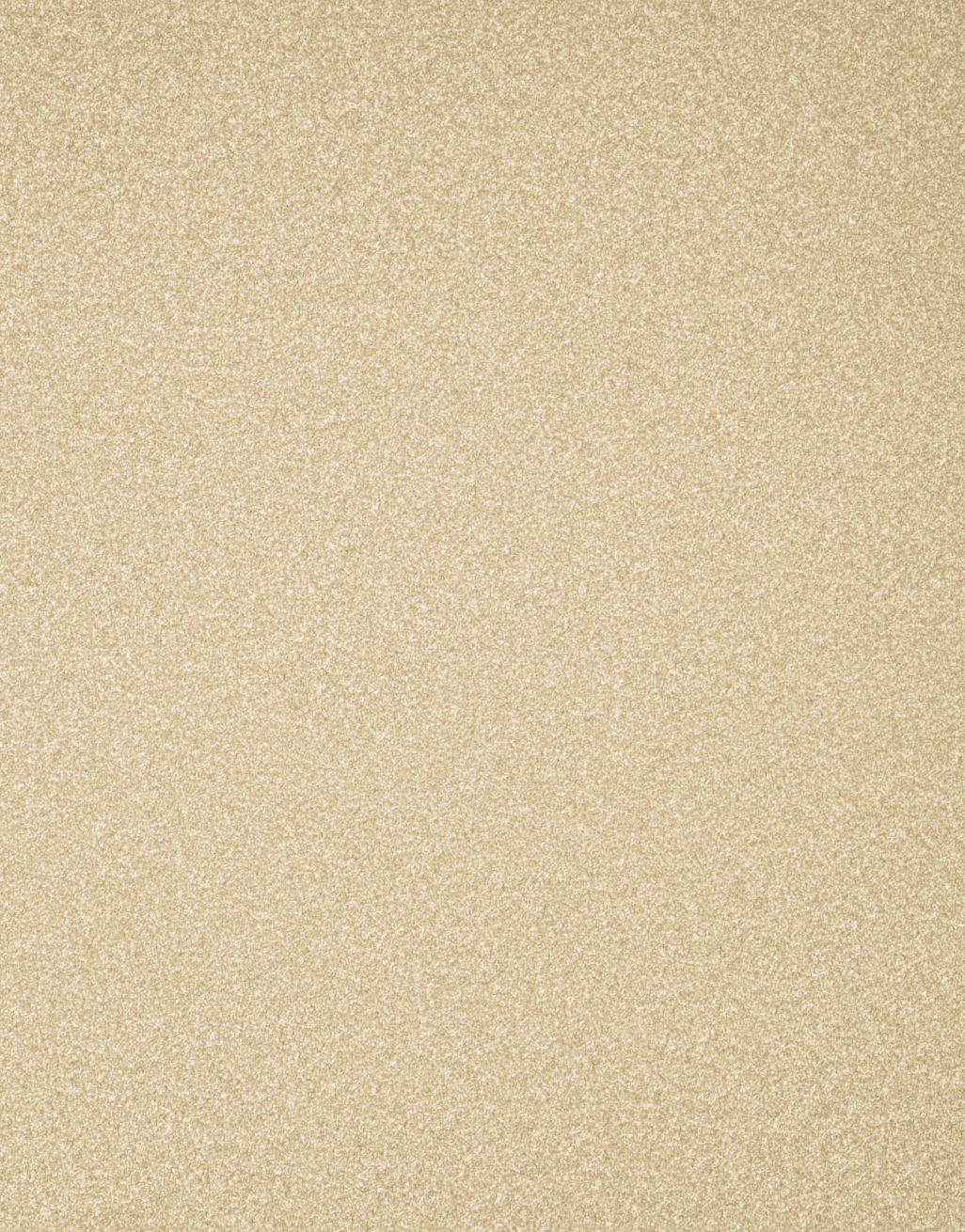Sorrento 6mm Twist Pile Carpet - Image 7